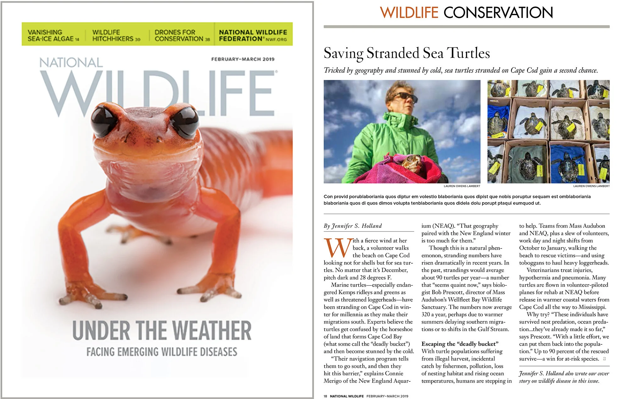 NWM Feb 2019 spread.jpg