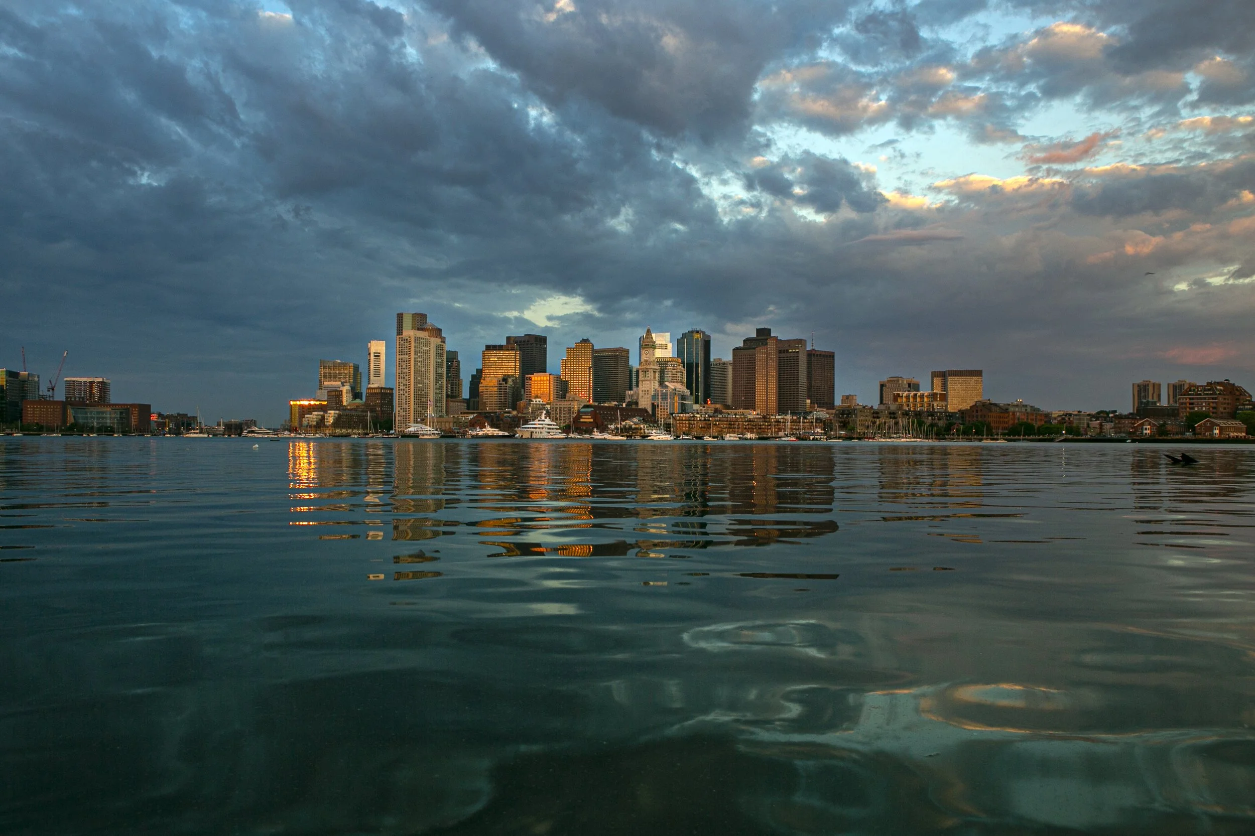 Intro Image-2K2A0102-A.jpg