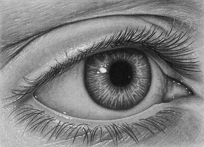 131108JC_drawings_027.jpg