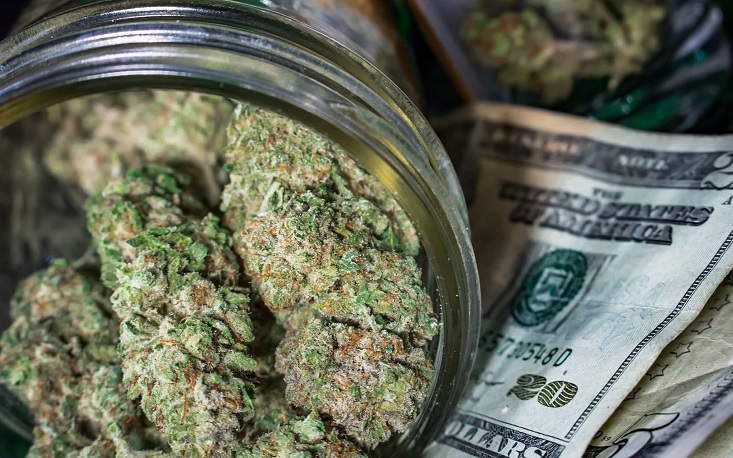 cannabis and money.jpg