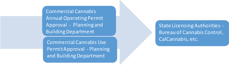 Cannabis Process Diagram.png