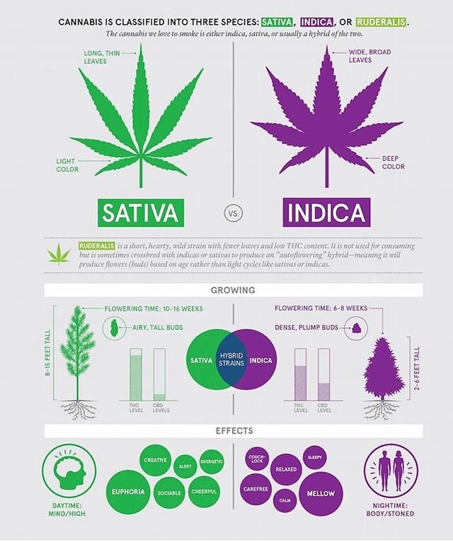 Know the difference🌿👍