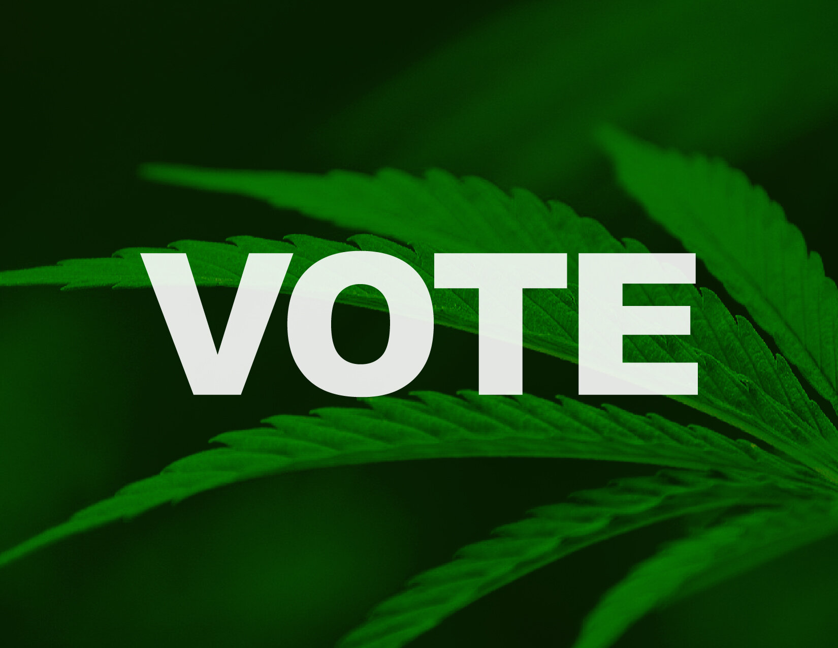 cannabis-voting-2020-election-01.jpg