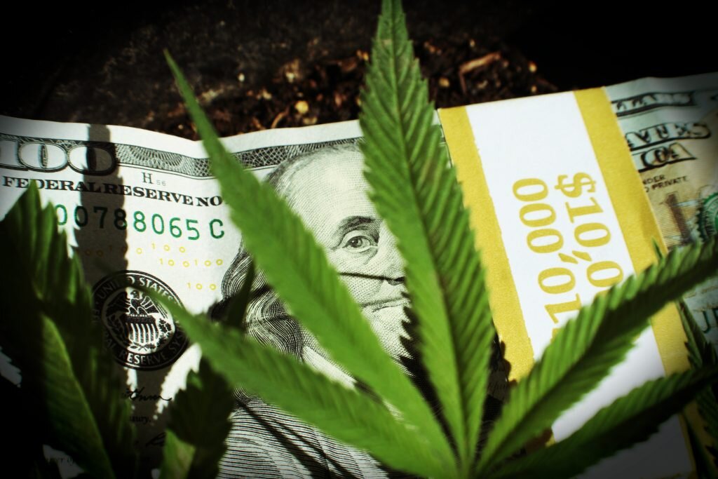 california-cannabis-fines.jpg