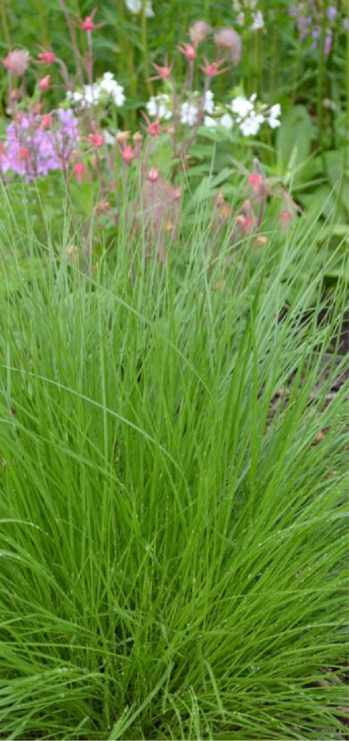 Planting Pallete Website-08.jpg