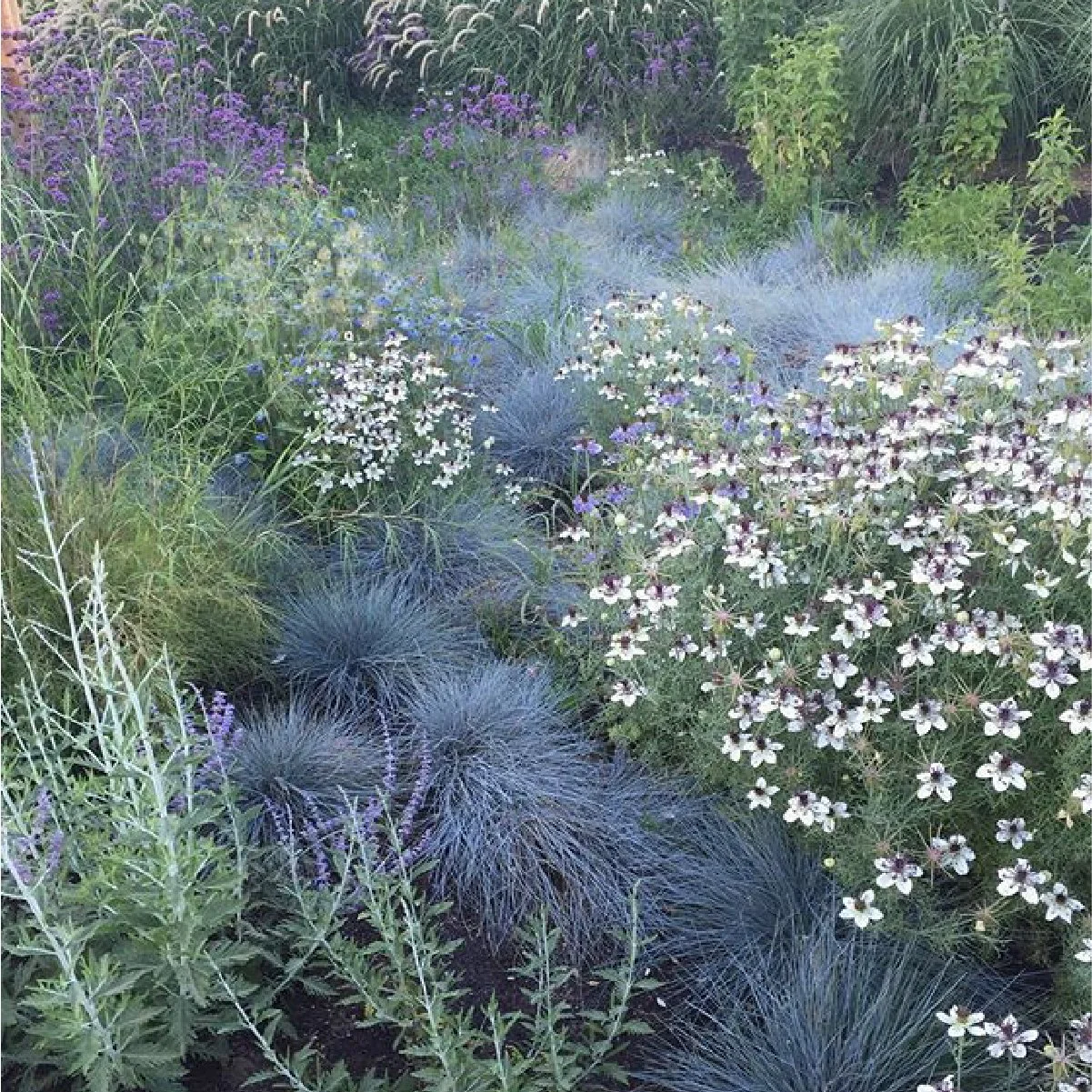 Planting Pallete Website-11.jpg