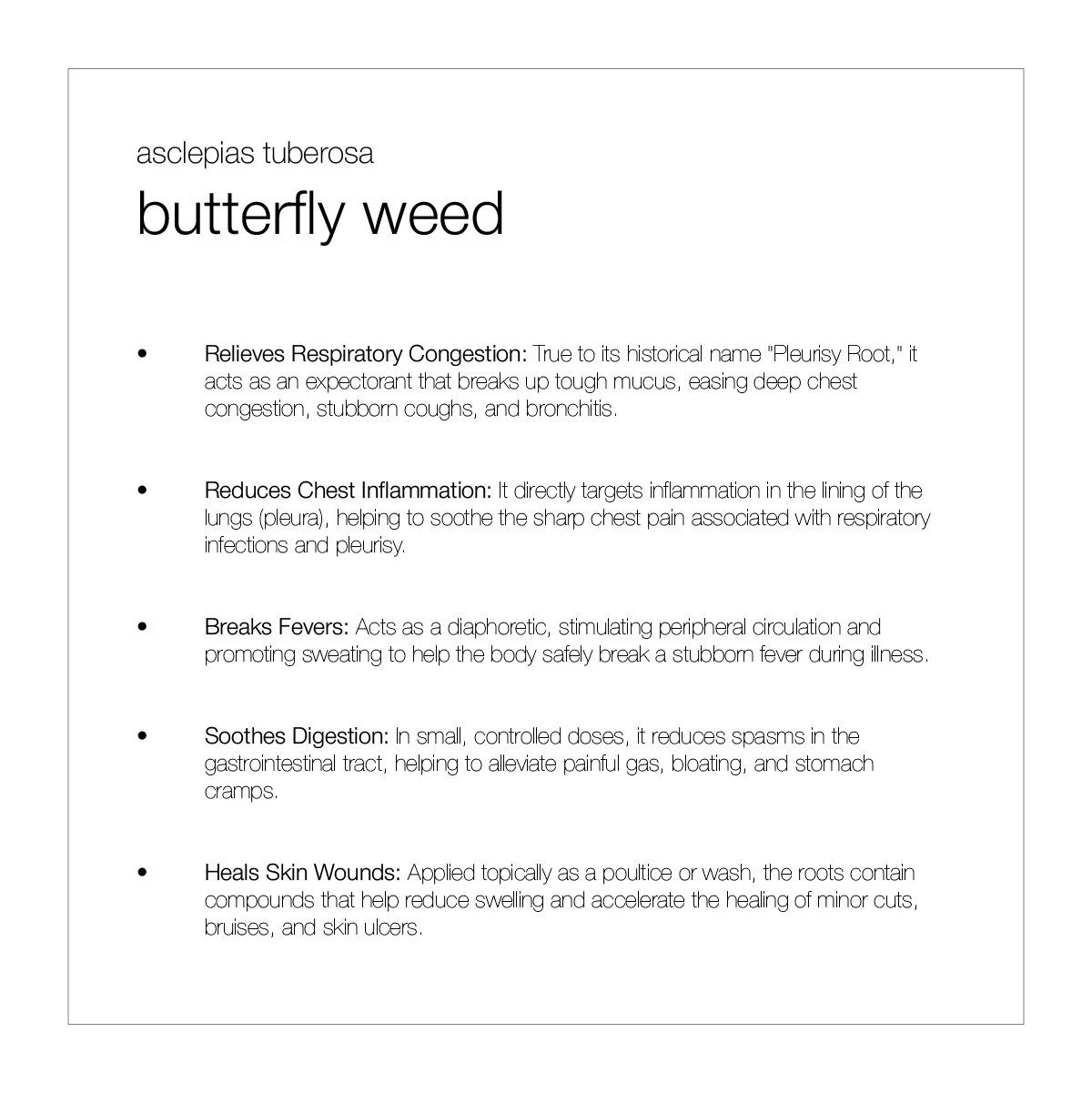 Planting Pallete Website-13.jpg