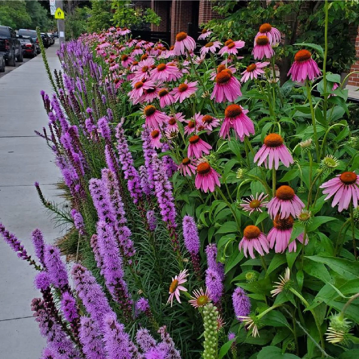 Planting Pallete Website-19.jpg