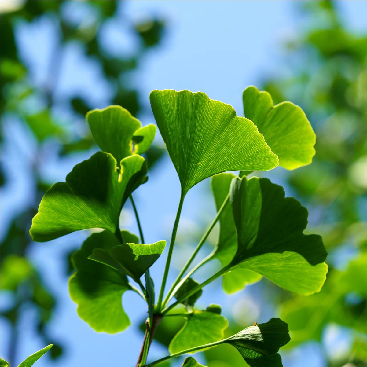 Planting Pallete Website-31.jpg