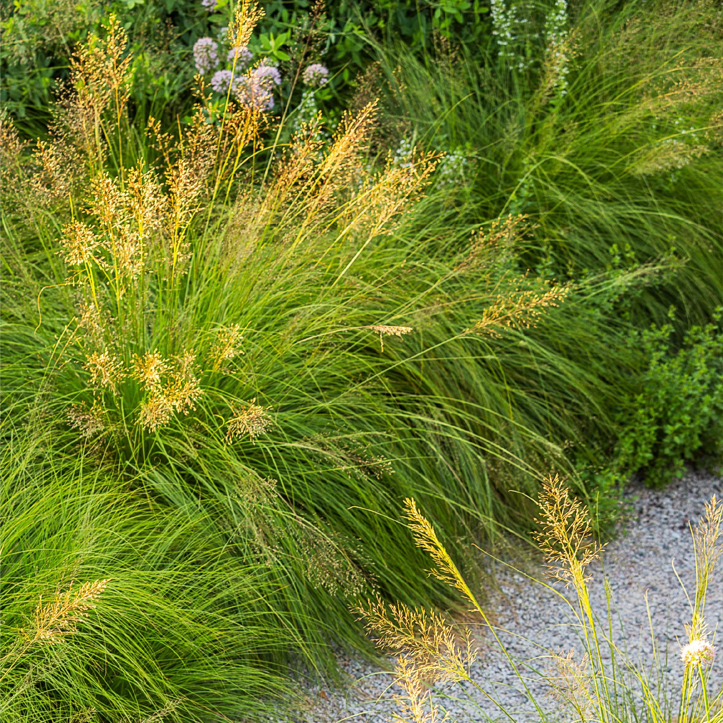 Planting Pallete Website-06.jpg