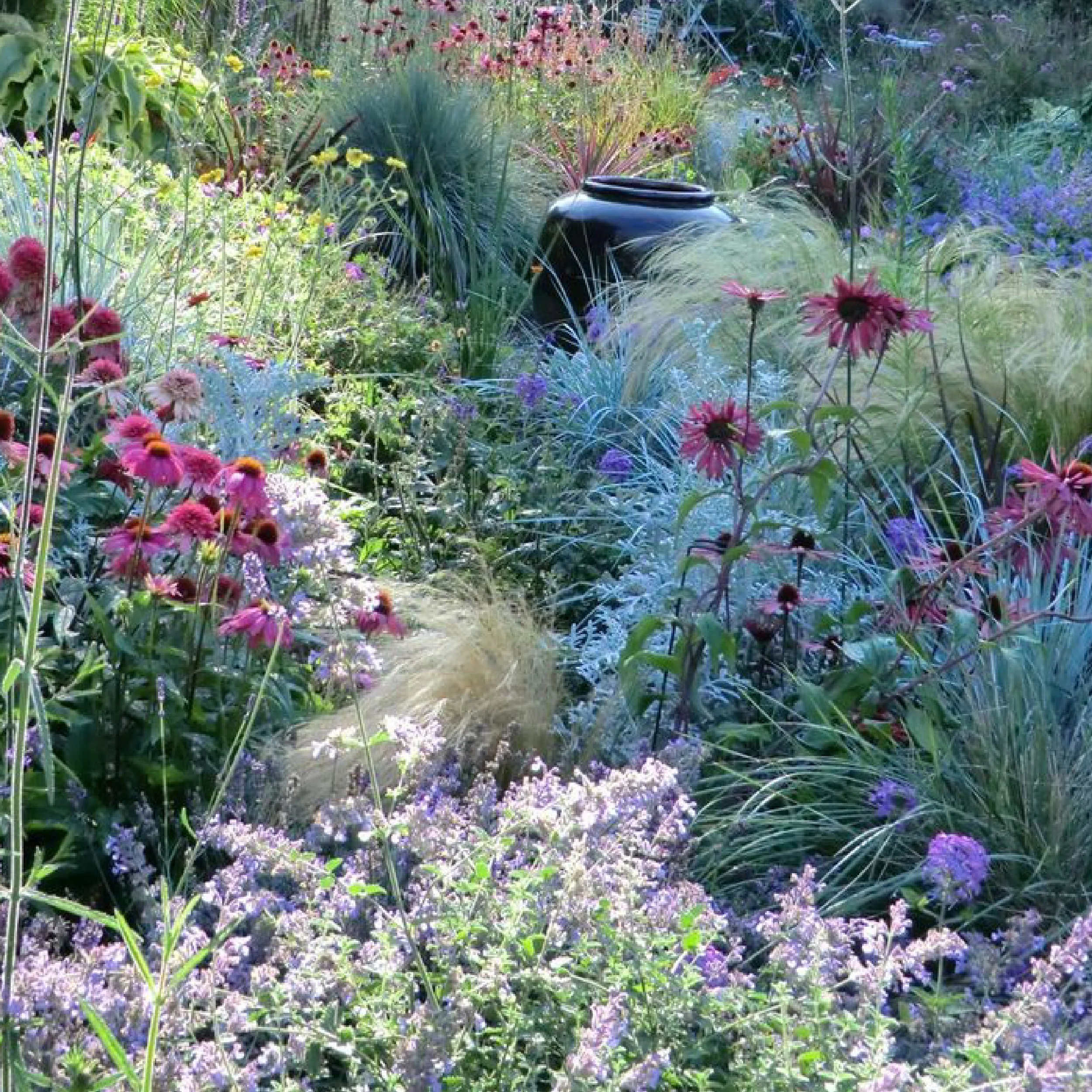 Planting Pallete Website-10.jpg