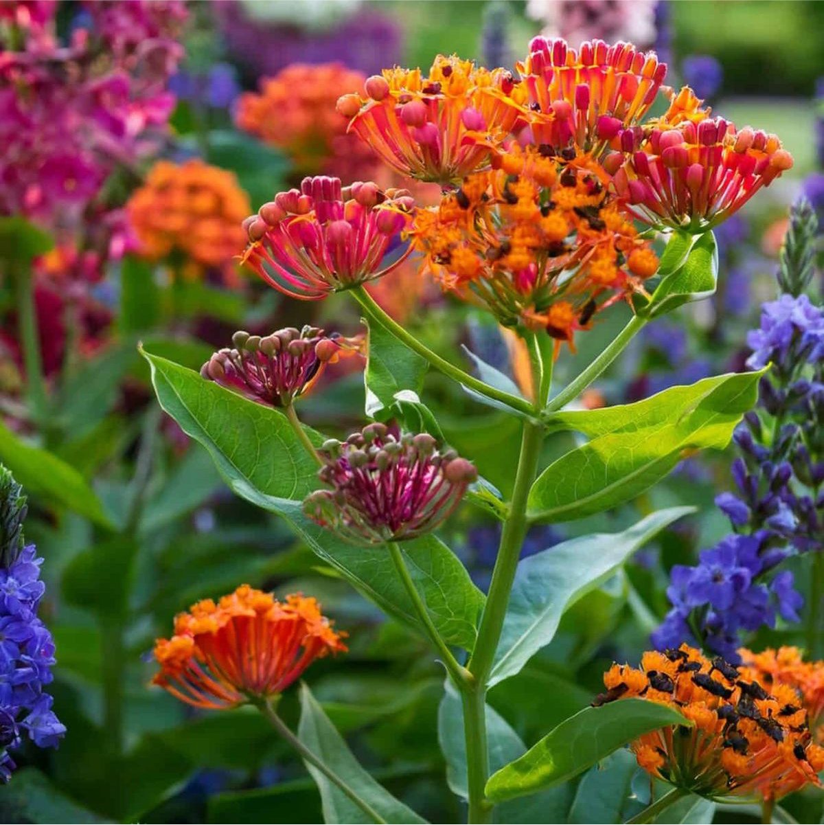 Planting Pallete Website-15.jpg