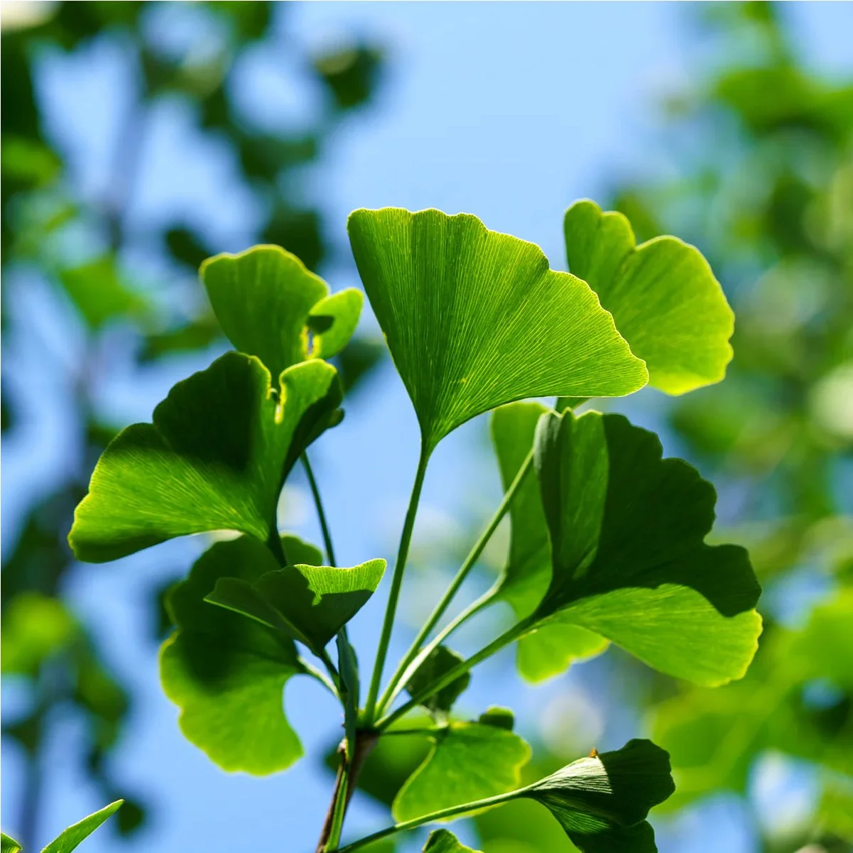Planting Pallete Website-31.jpg