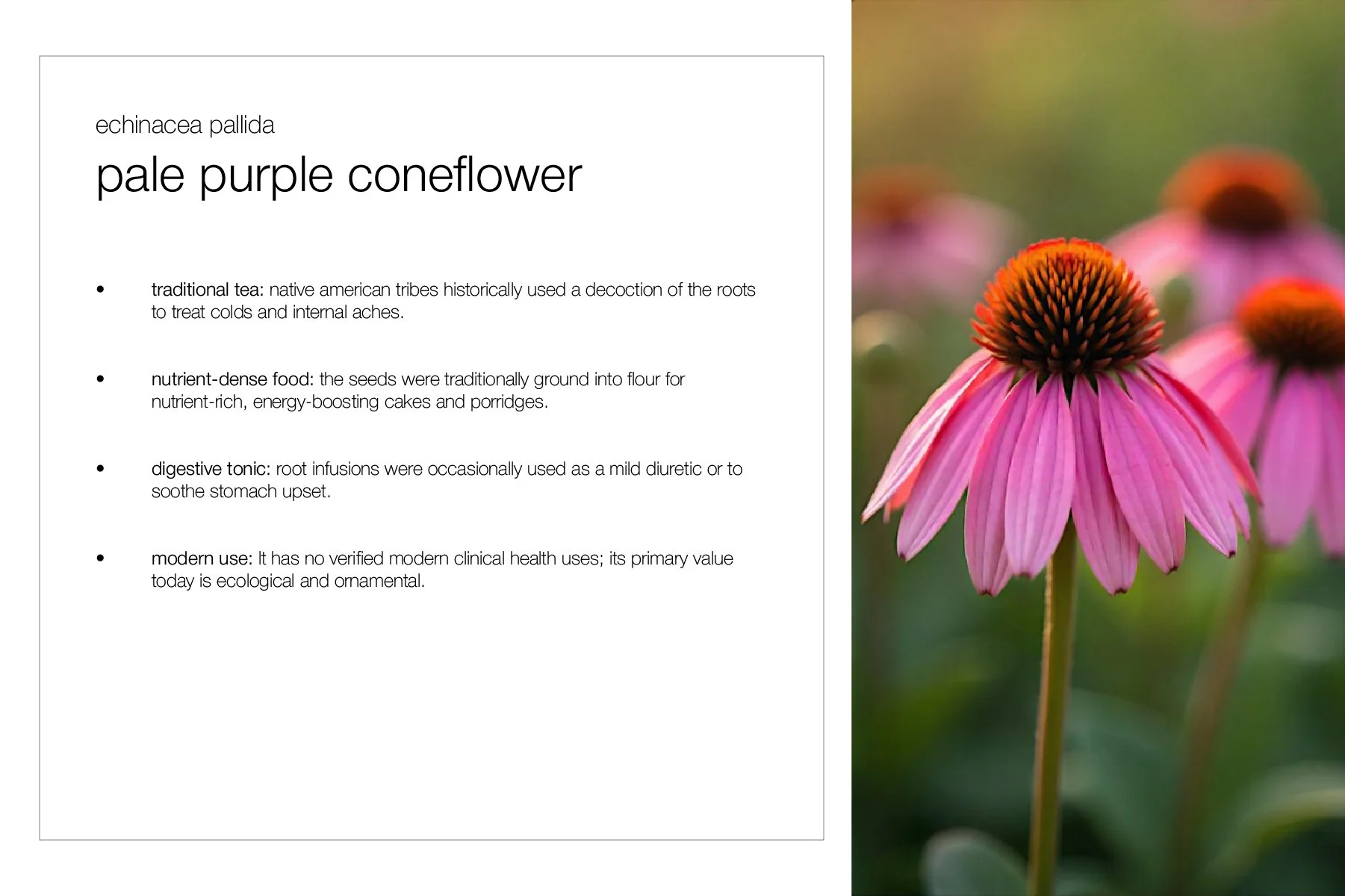 Planting Pallete Website-33.jpg