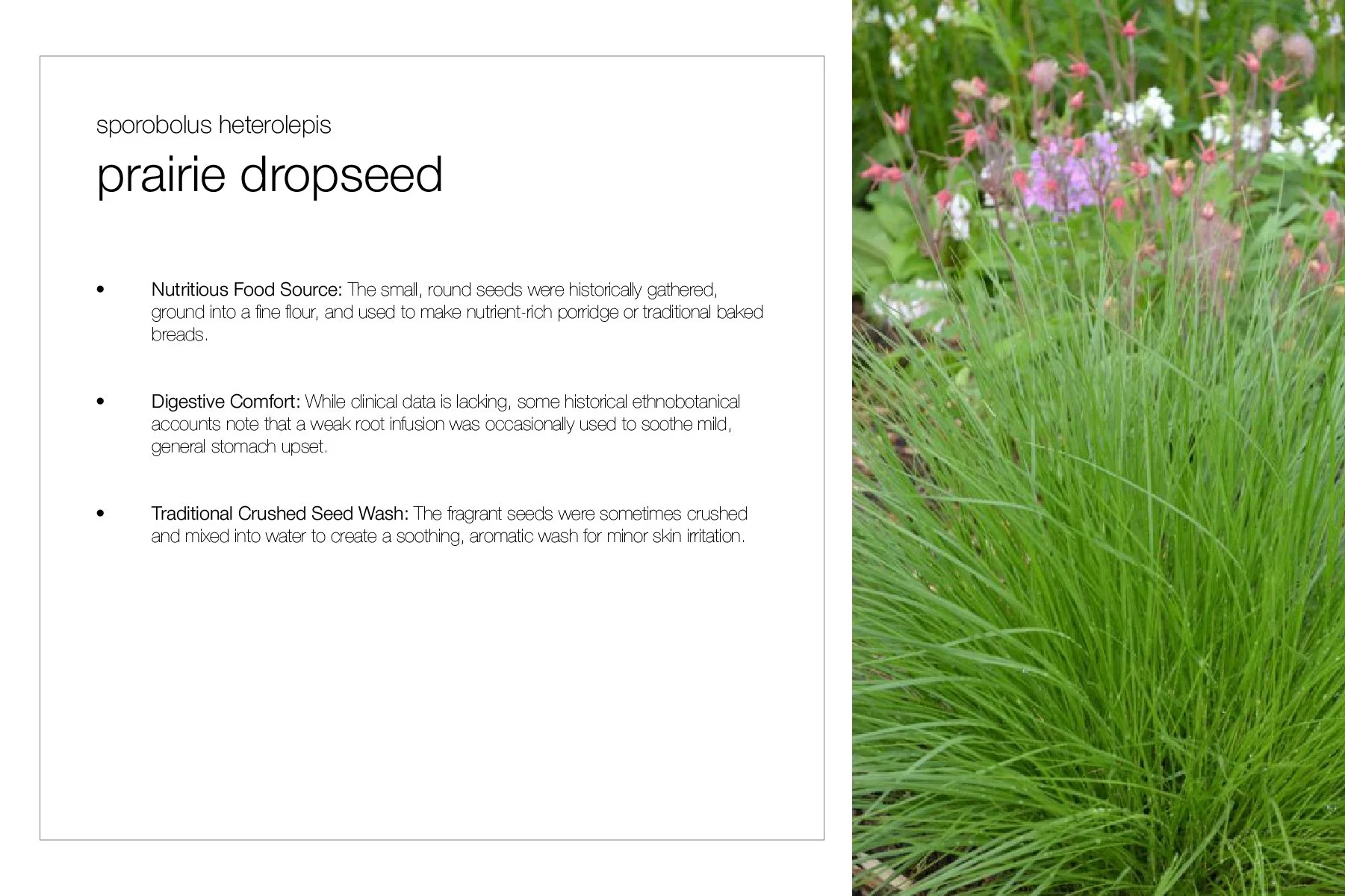 Planting Pallete Website-34.jpg