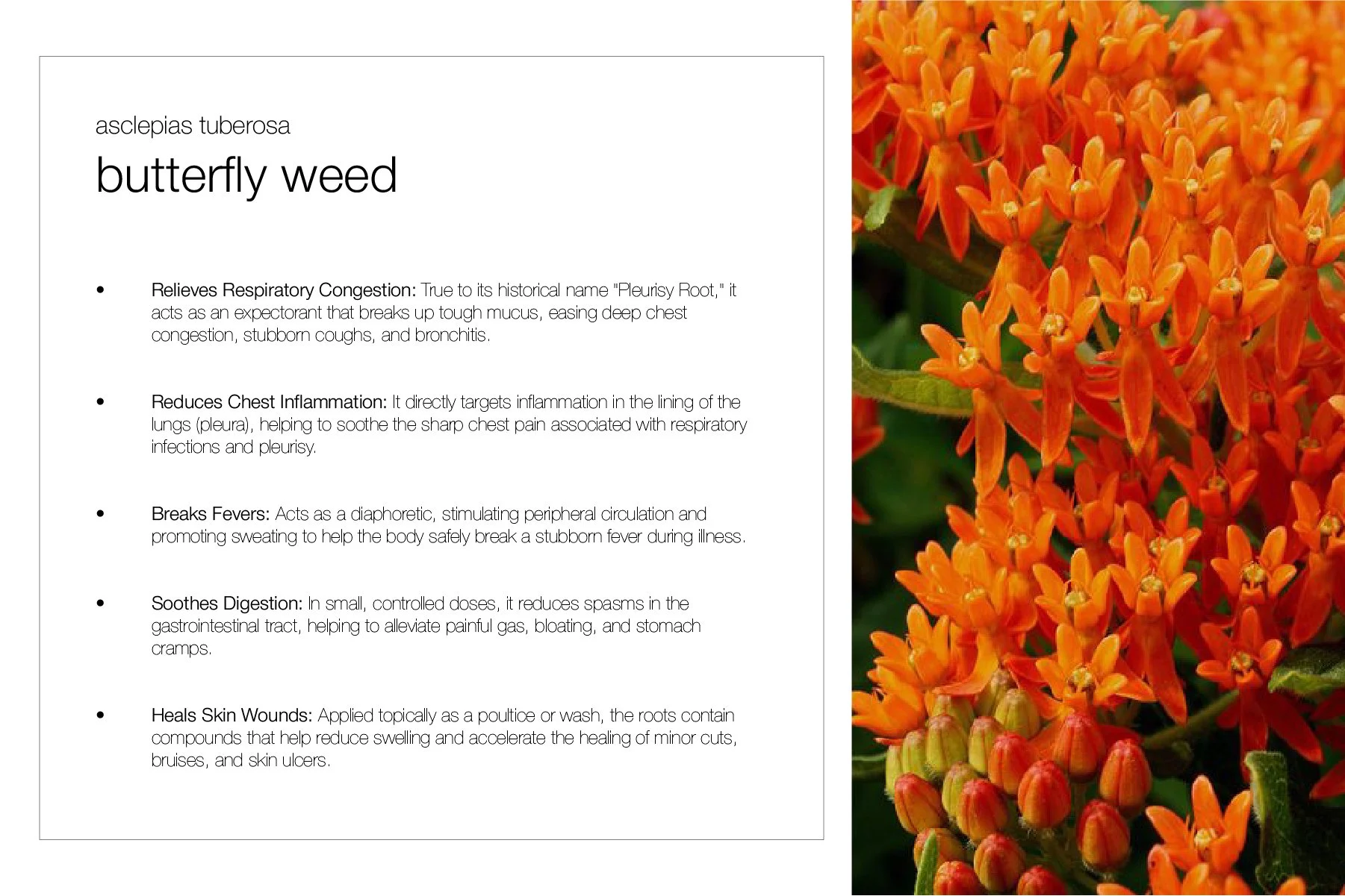 Planting Pallete Website-36.jpg