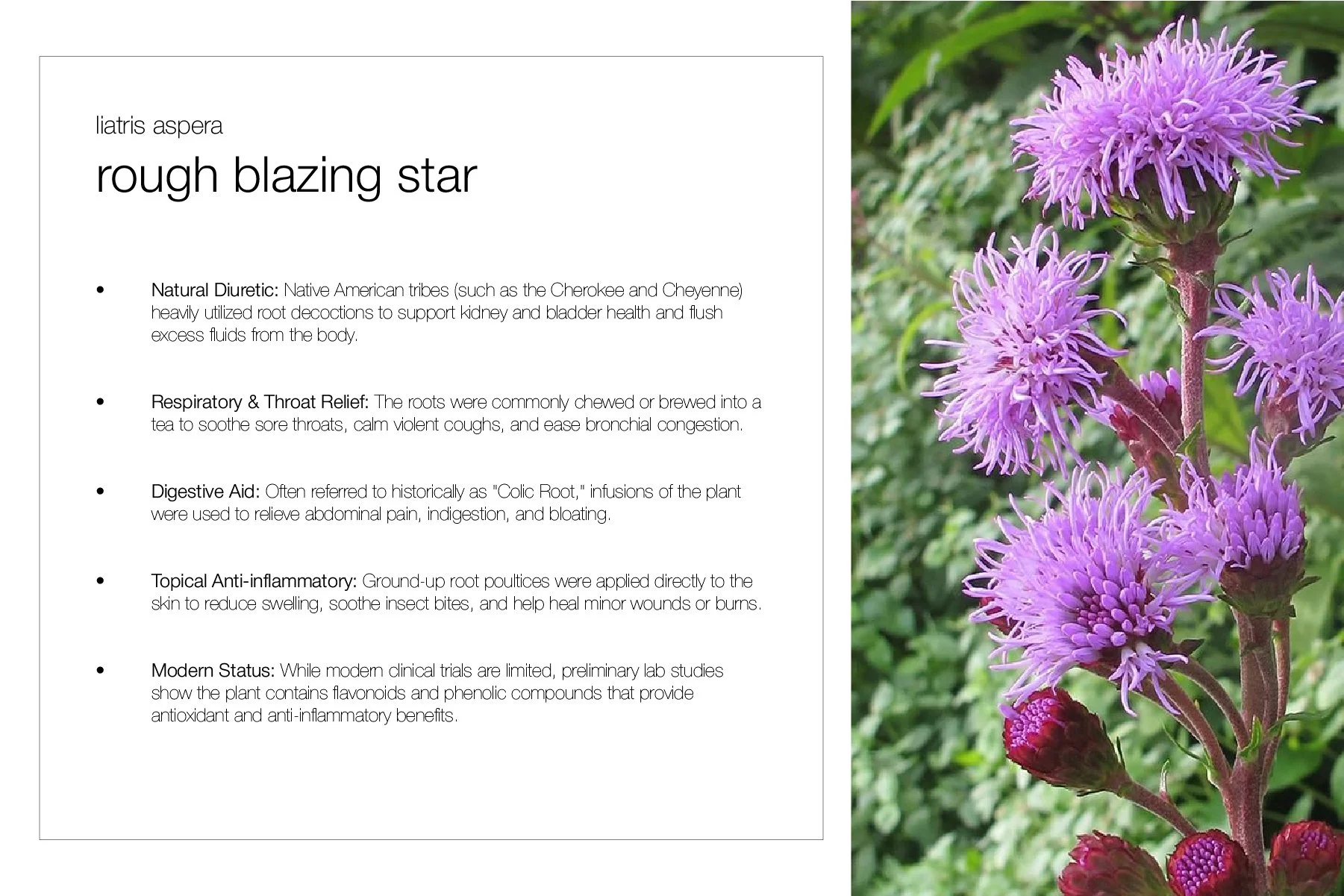 Planting Pallete Website-37.jpg
