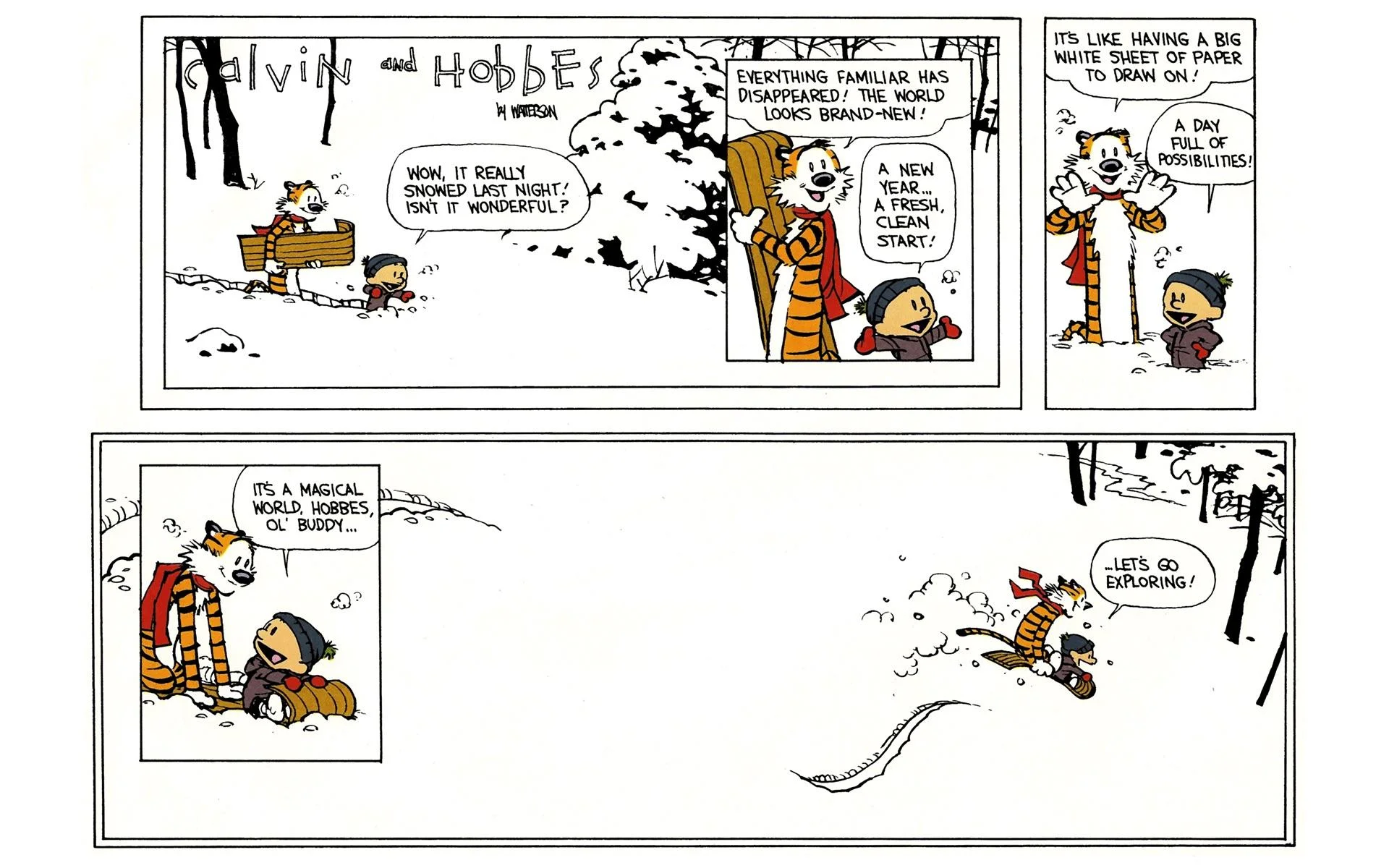 final calvin.jpg