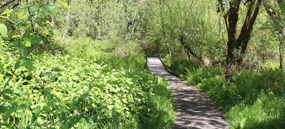 Mission-Creek-Header1-2018.jpg