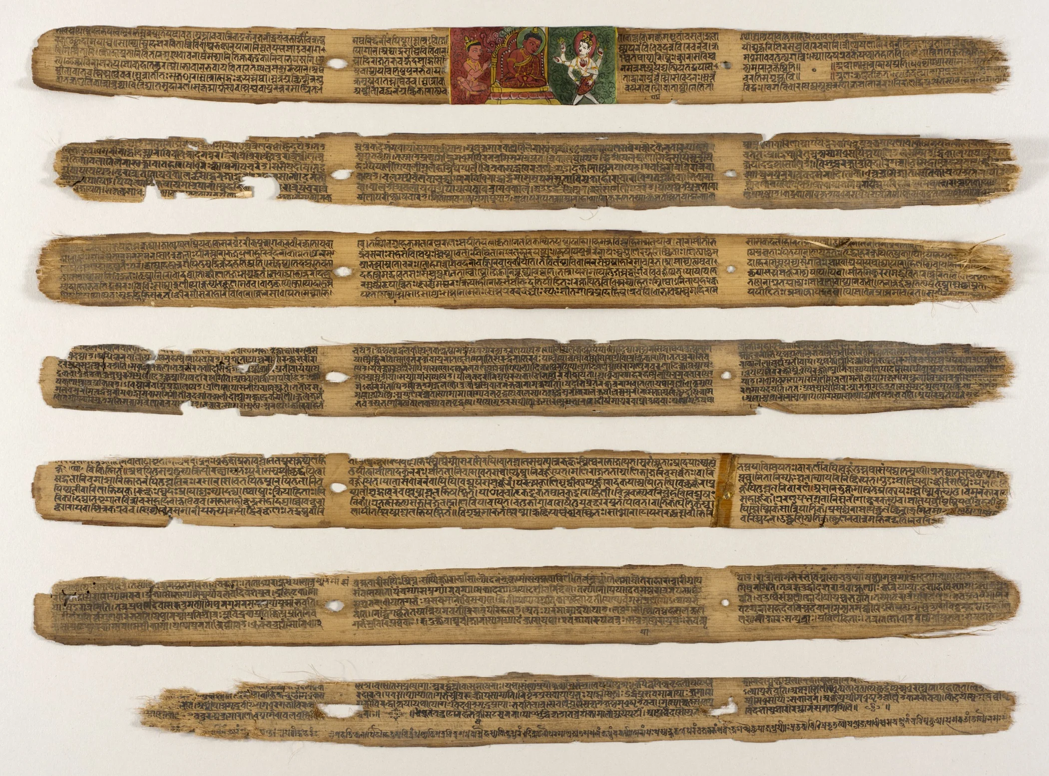 Commentaries on Charaka Samhita.jpg
