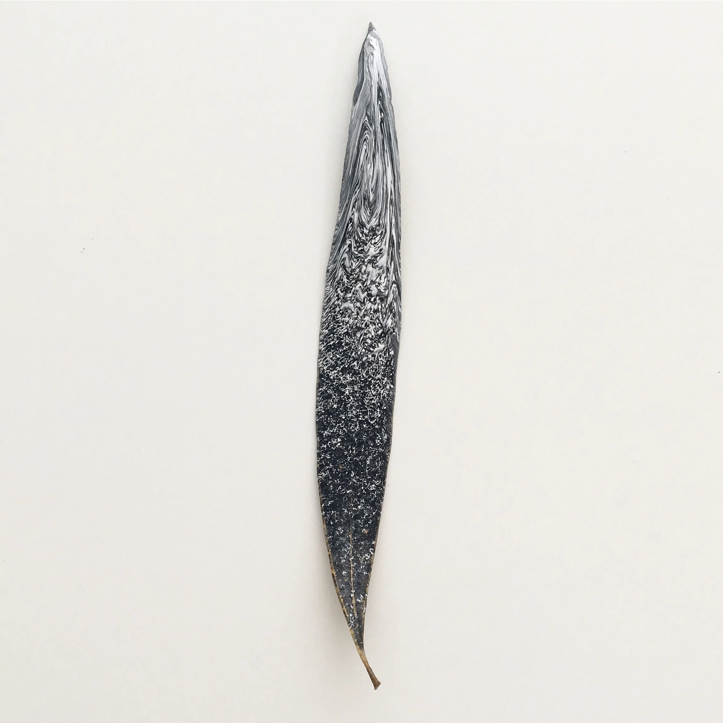 Marbled Leaf