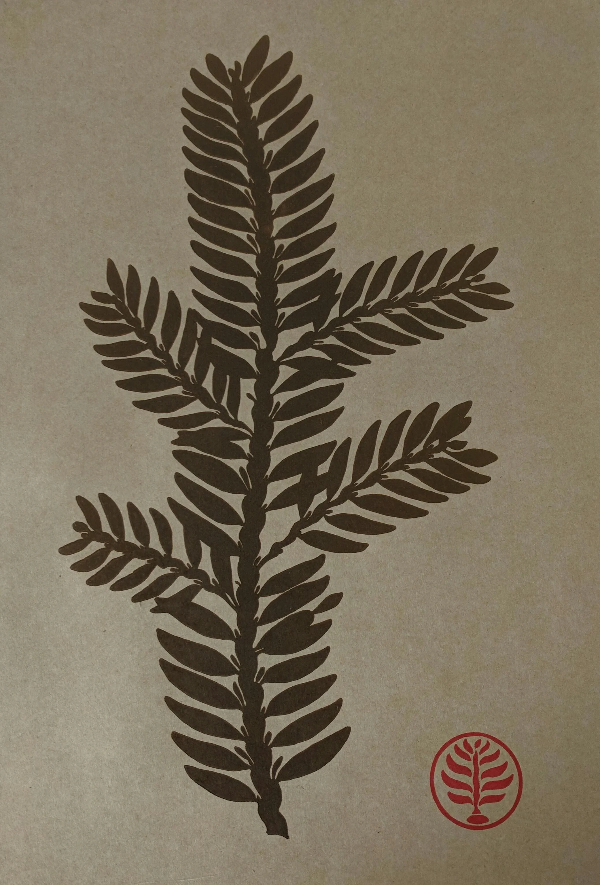 Linocut of Carpophyllum maschalocarpum