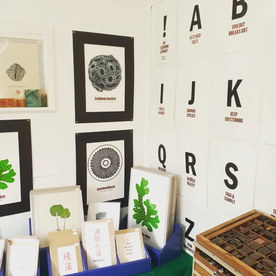 All set up for the Kapiti Arts Trail this weekend. If you're in the area, why not drop in to Diatom Press at 34 Ocean Road in sunny Paekakariki? Prints and cards for sale or just admire some old printing presses.
#lovekapitiarts #linocut #letterpress