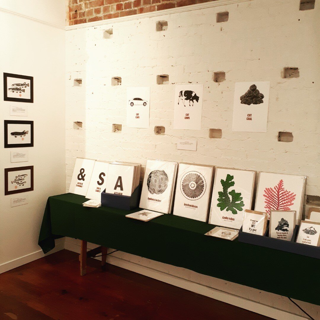 Just a few of the prints available to view or purchase at Diatom Press's exhibition at Thistle Hall Gallery, upper Cuba Street in sunny Wellington. Open all this week and Saturday. Drop in and see the entire Lockdown Alphabet, the new carbon sink org