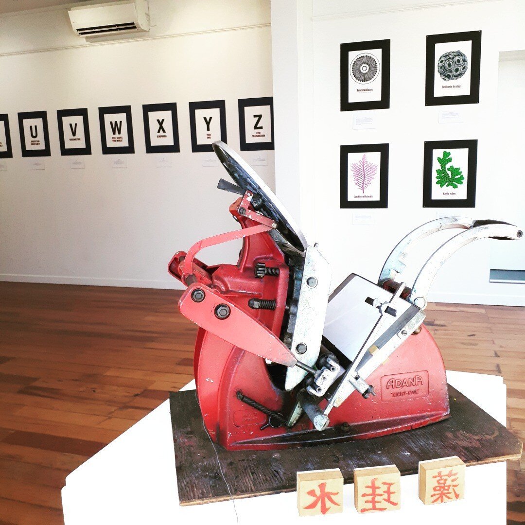 It's a sunny day at Thistle Hall in Cuba Street,  why not drop in to the Diatom Pres exhibition? From Adana to Azolla and everything inbetween!  Open 10 am to 6 pm until Saturday. 
#letterpress #adana #lovekapitiarts #linocut #azolla