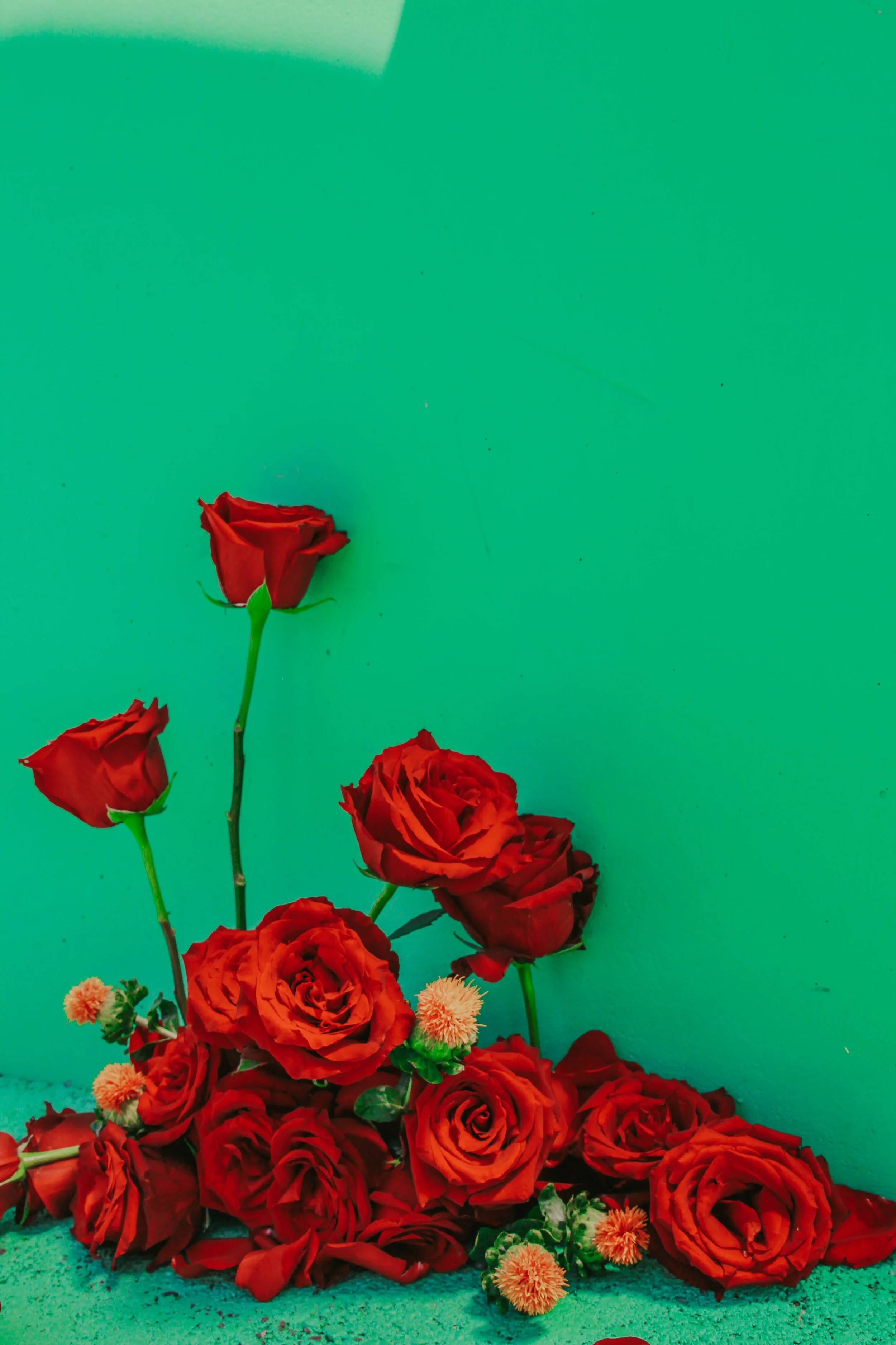 f52092418 copy 2.JPG