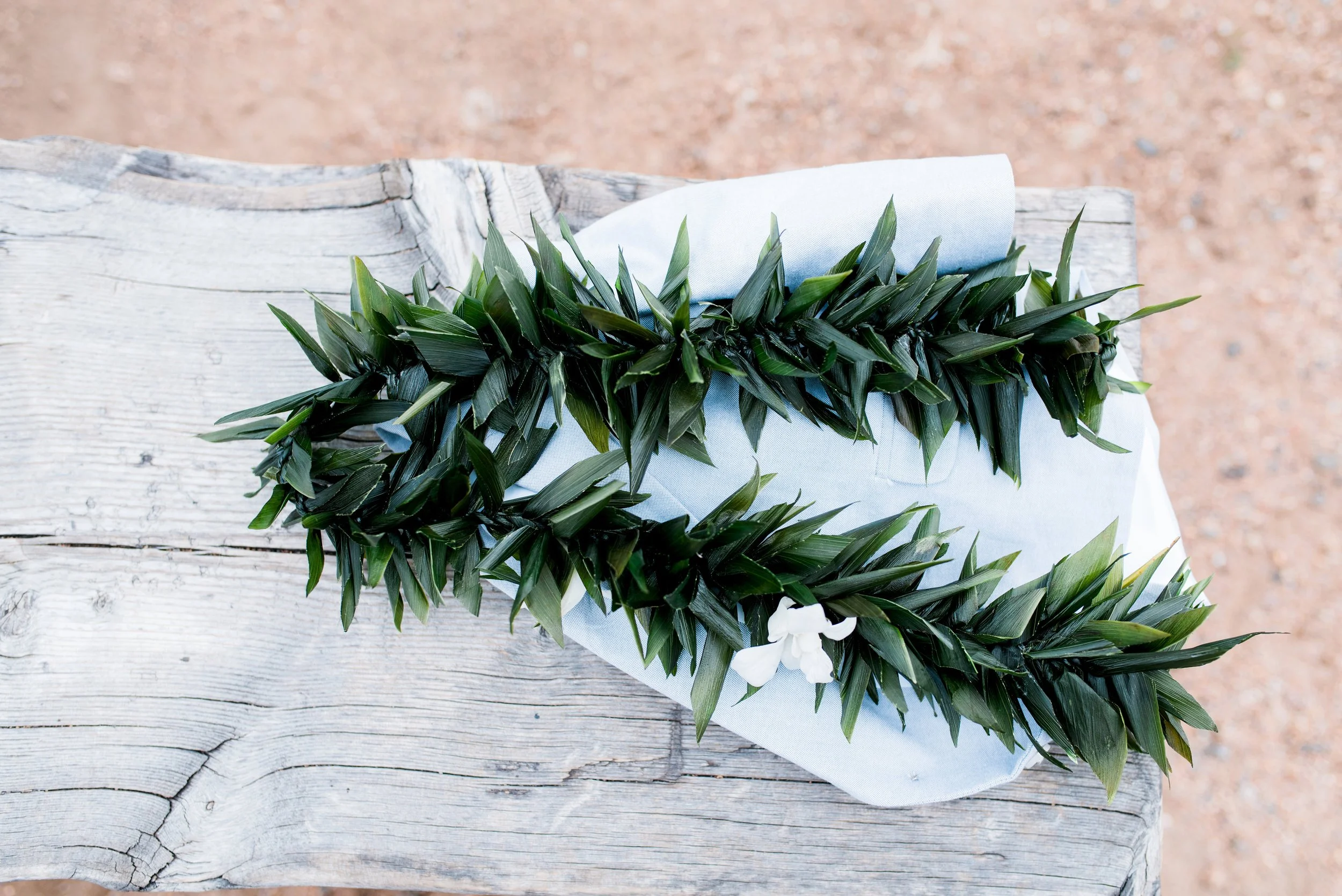 The Godinets 7.29.17