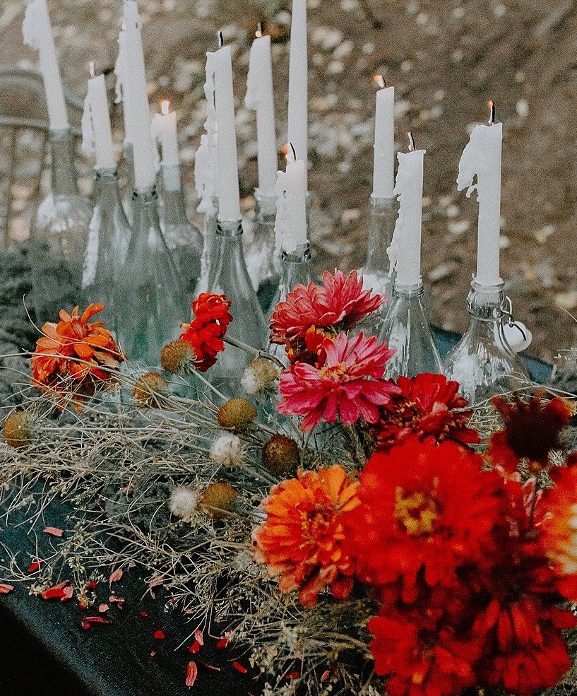 A Glimpse of Summer &amp; Fall 