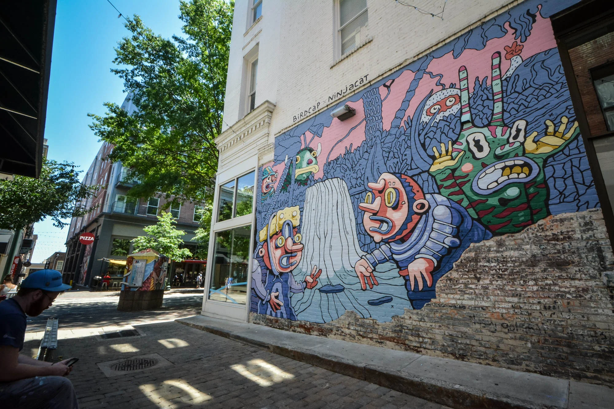 Back in the Pond by Birdcap and Ninjacat Memphis, TN