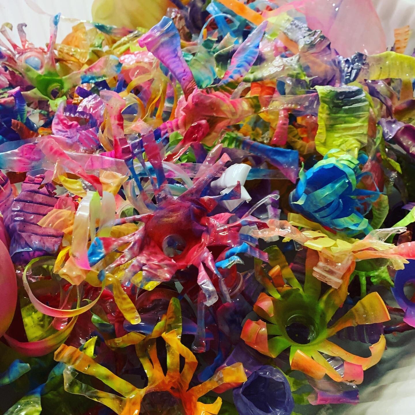 Recycled Bottle Flowers!!!