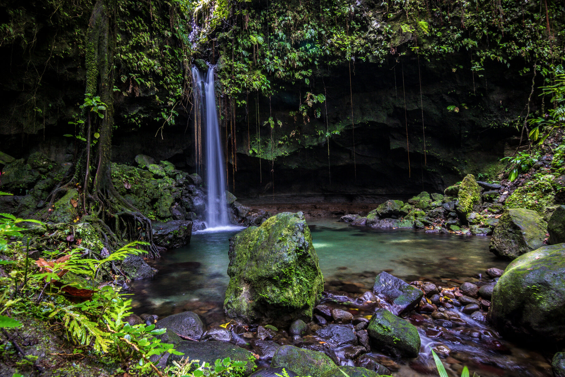 20170629-Dominica-1169-Edit.jpg