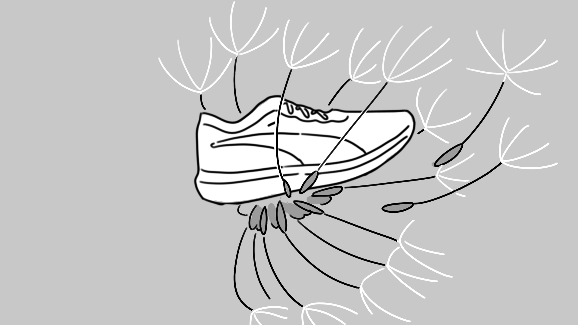 497880409-puma_storyboard_17_a02_dk.png