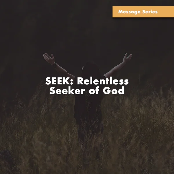 25)SEEK.jpg