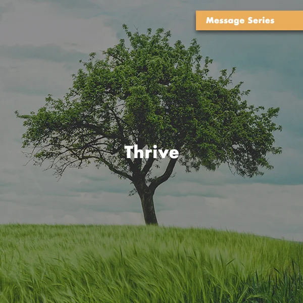 31)Thrive.jpg