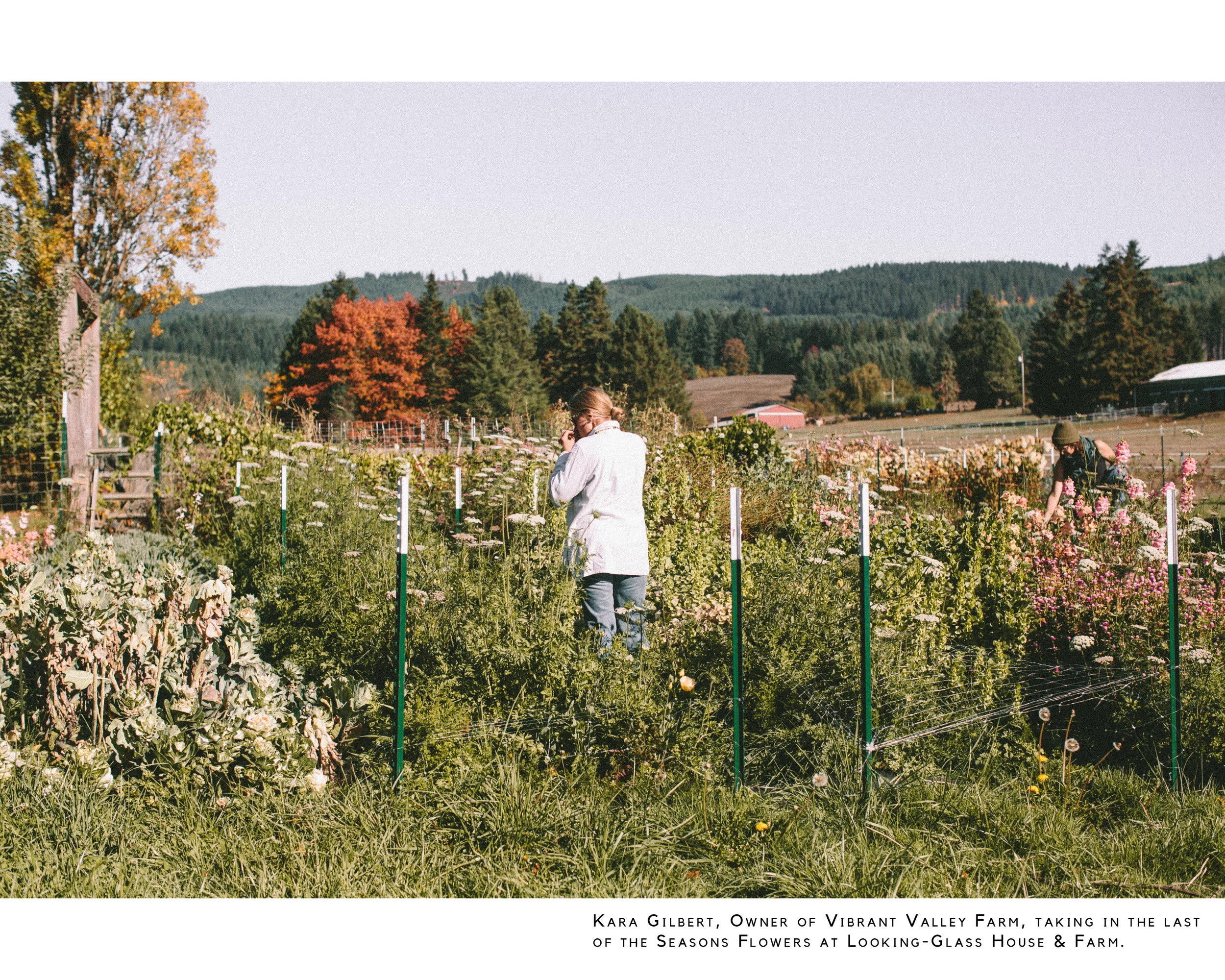 FALL WORKSHOP BLOG10.jpg
