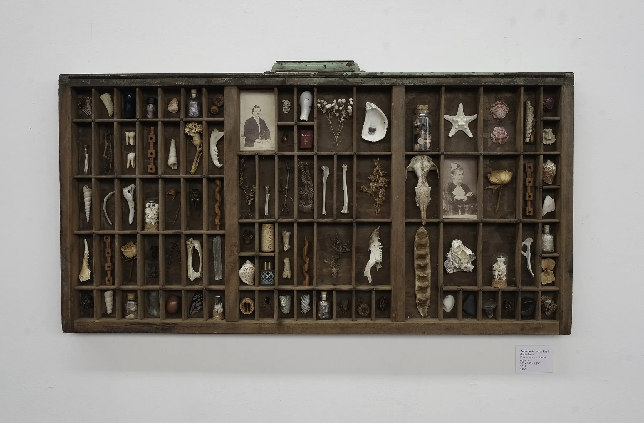 Documentation of Life I.JPG