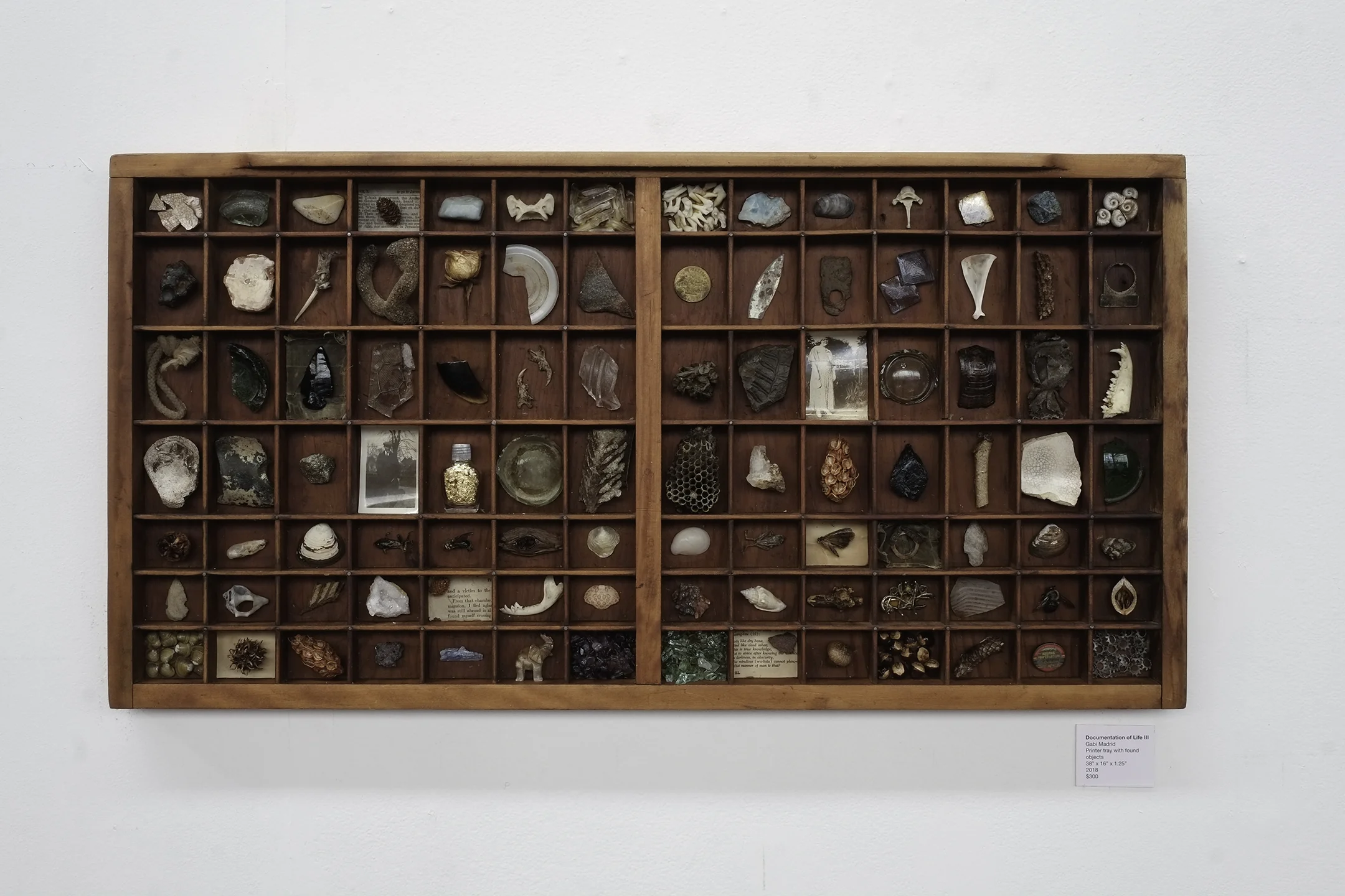 Documentation of Life III.JPG