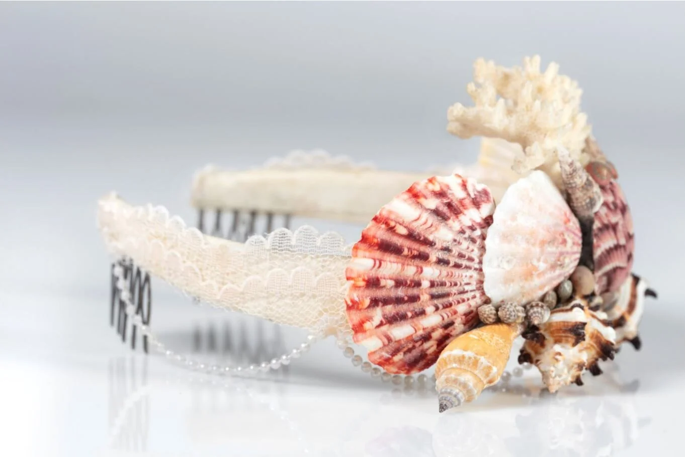 Seashell_2.JPG
