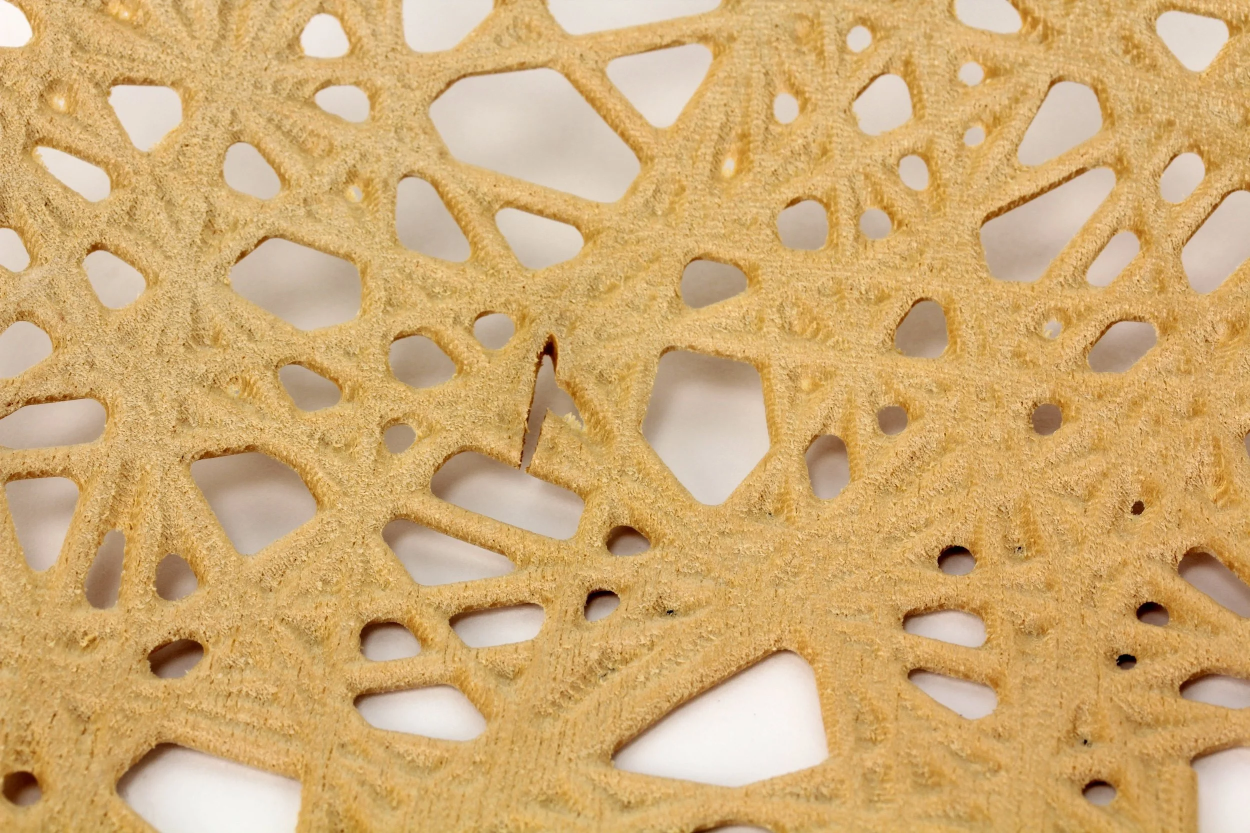 String Bean Theory, 2013 (detail)