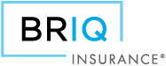 BRIQ Insurance