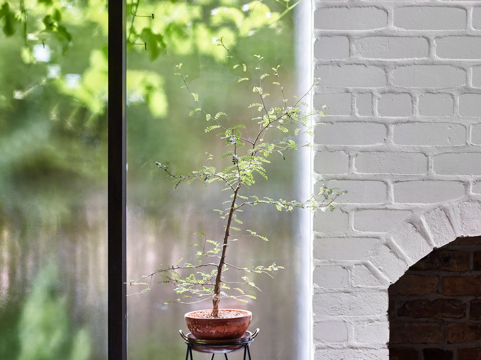 JE_TerrariumHouse_CF057550_TobyScott.jpg