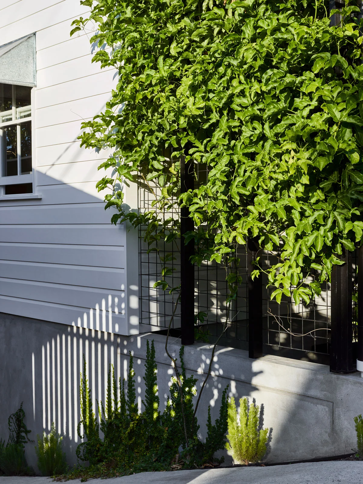 JE_TerrariumHouse_CF057835_TobyScott.jpg
