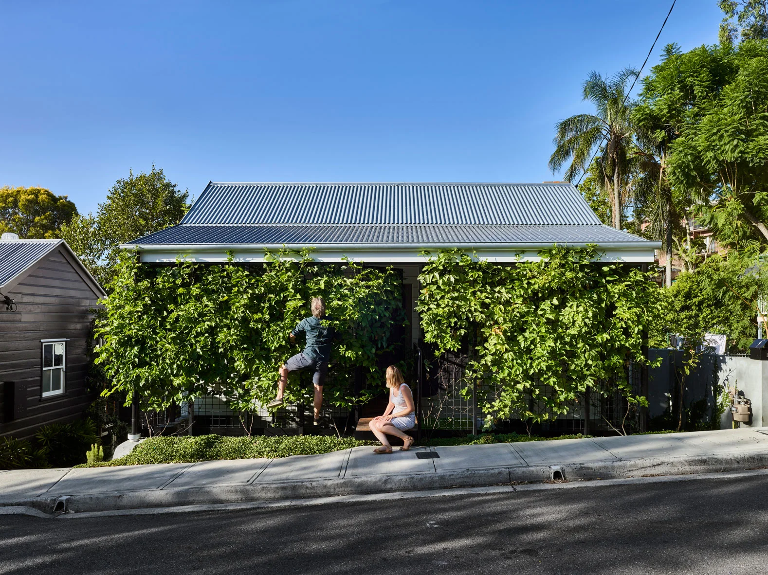 JE_TerrariumHouse_CF057864_TobyScott.jpg