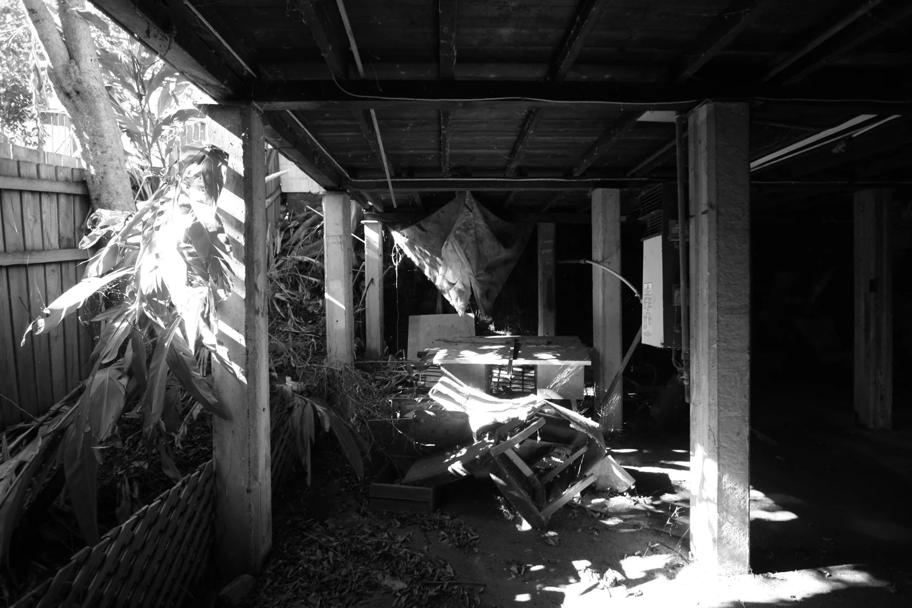 JE_TerrariumHouse_IMG_5033_JohnEllway.jpg