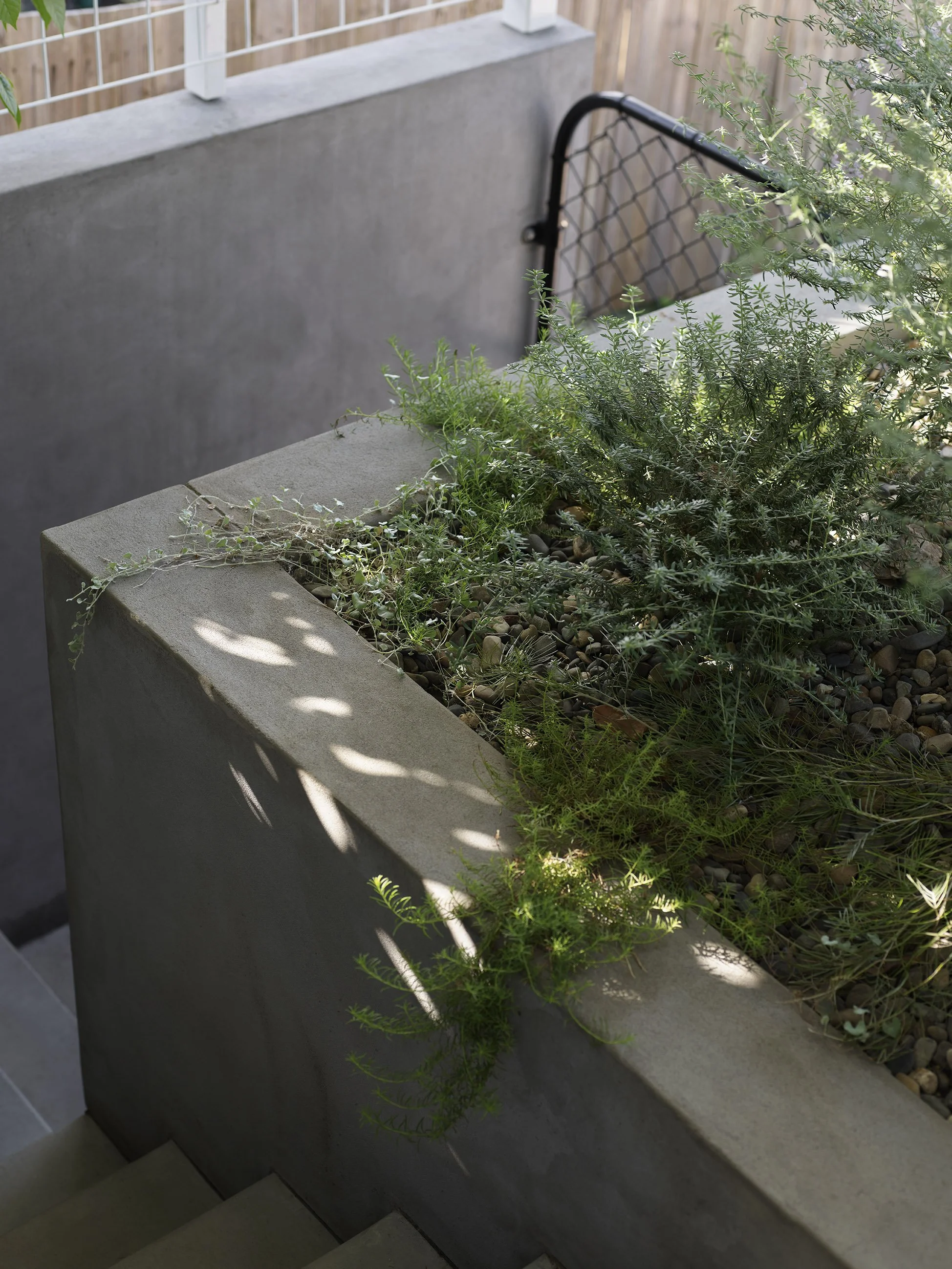 JOHN ELLWAY. ARCHITECT — Cascade House