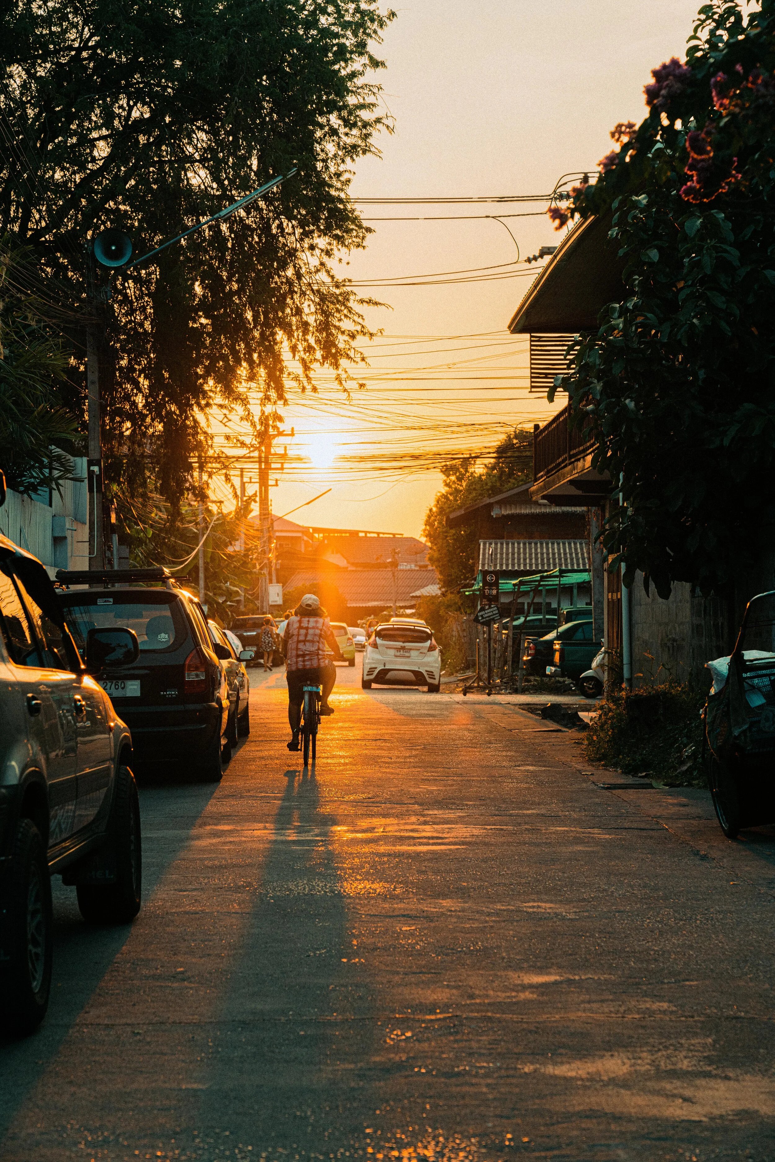 Thailand_web-09757.jpg